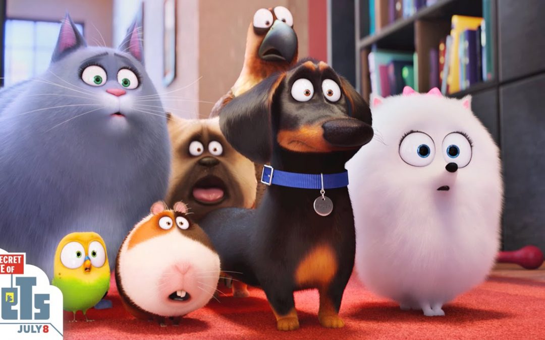 ‘Secret Life of Pets 2’ in the Works, Set for 2018 Release