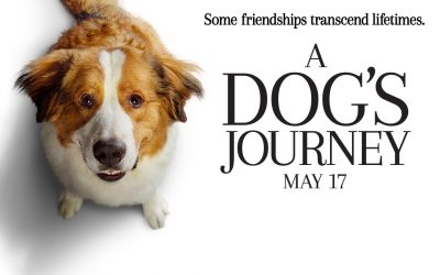 ‘A Dog’s Journey’ Review