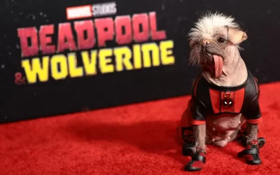 “Deadpool & Wolverine”: Scenes From The Red Carpet World Premiere